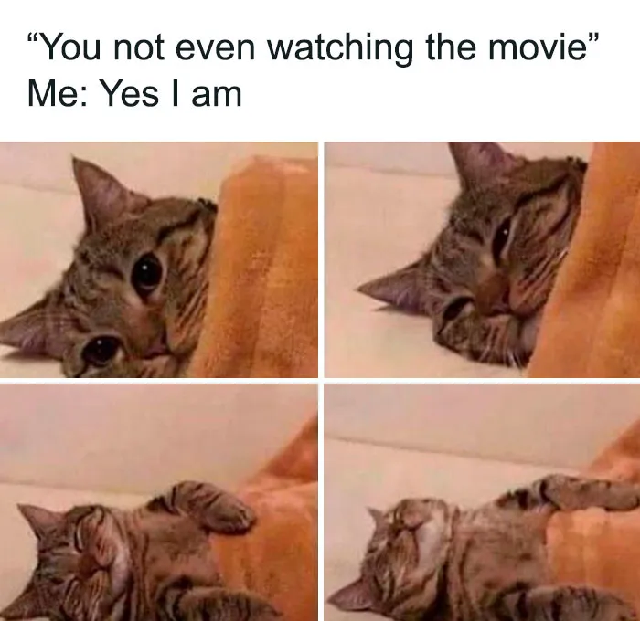 50 Couple Memes Capturing Universal Truths About Relationships