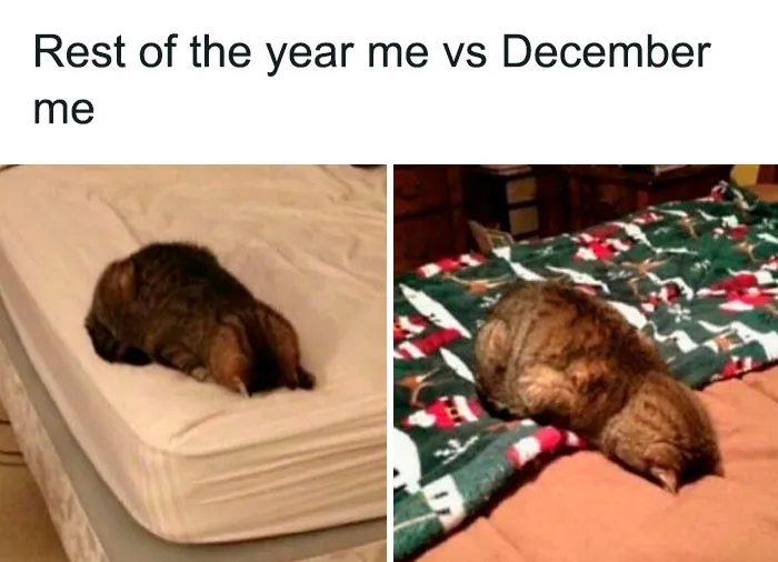 50 Couple Memes Capturing Universal Truths About Relationships