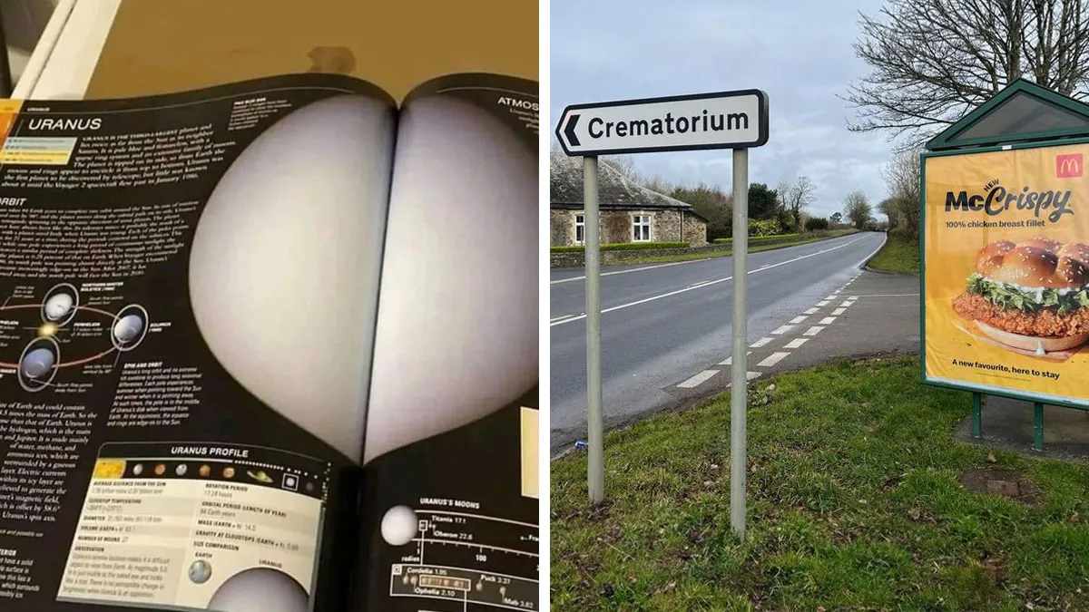50 “Accidental Comedy” Pics That May Make You Laugh Harder Than You Should (New Pics)