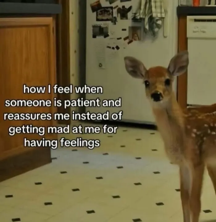 50 Hilariously Relatable Memes To Help You Cope With Anxiety