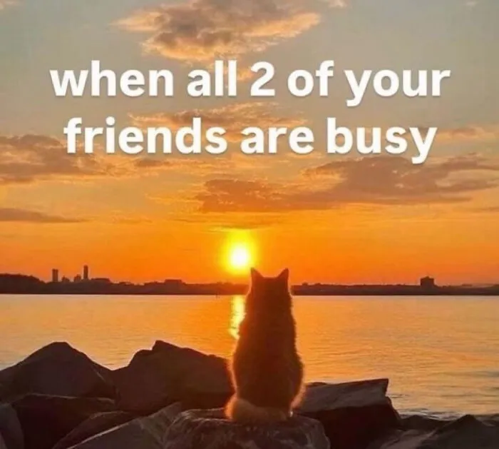 50 Hilariously Relatable Memes To Help You Cope With Anxiety