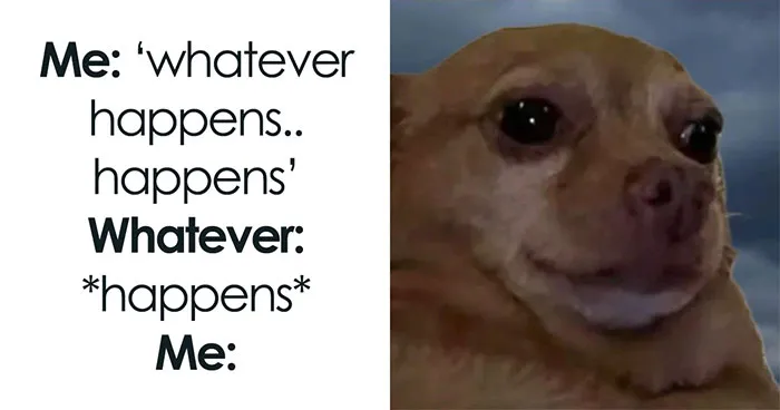 50 Hilariously Relatable Memes To Help You Cope With Anxiety