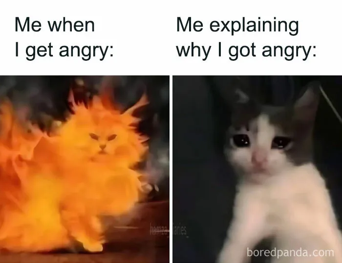 Two-part meme with a fiery angry cat on the left and a sad crying cat on the right, illustrating anxiety meme humor.