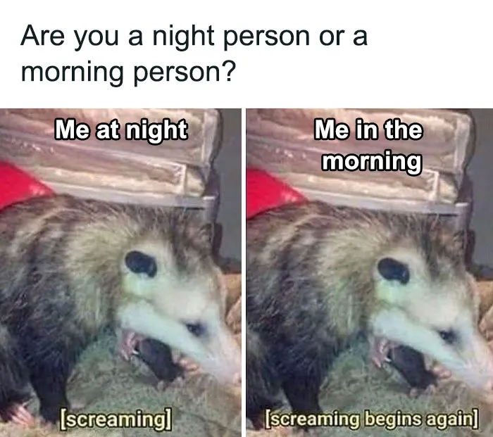 Relatable meme showing a screaming opossum comparing being a night person versus a morning person for anxiety coping.