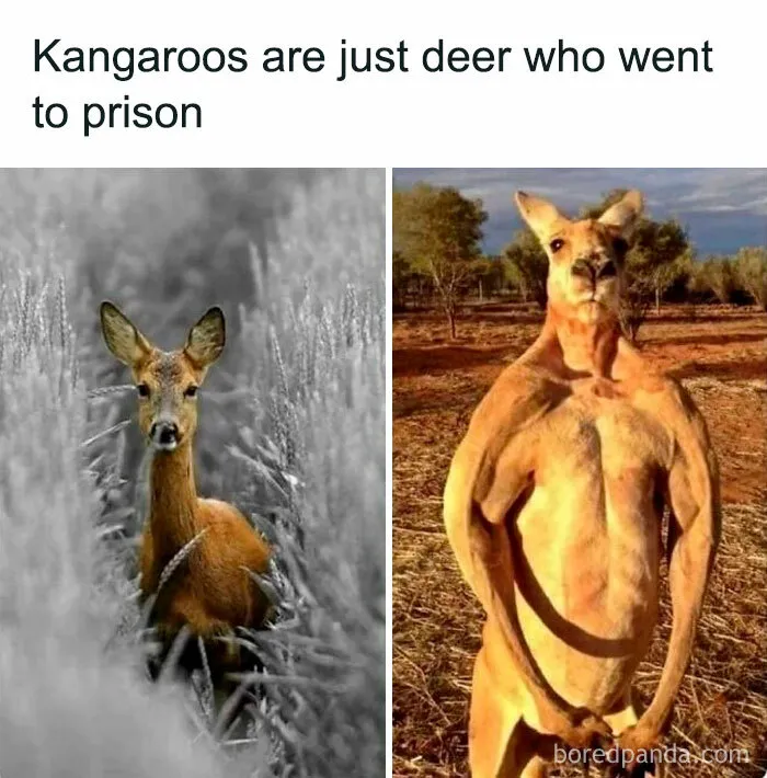 This Facebook Page With Nearly 200K Followers Has The Funniest Meme Collection And Here Are 50 Of Them