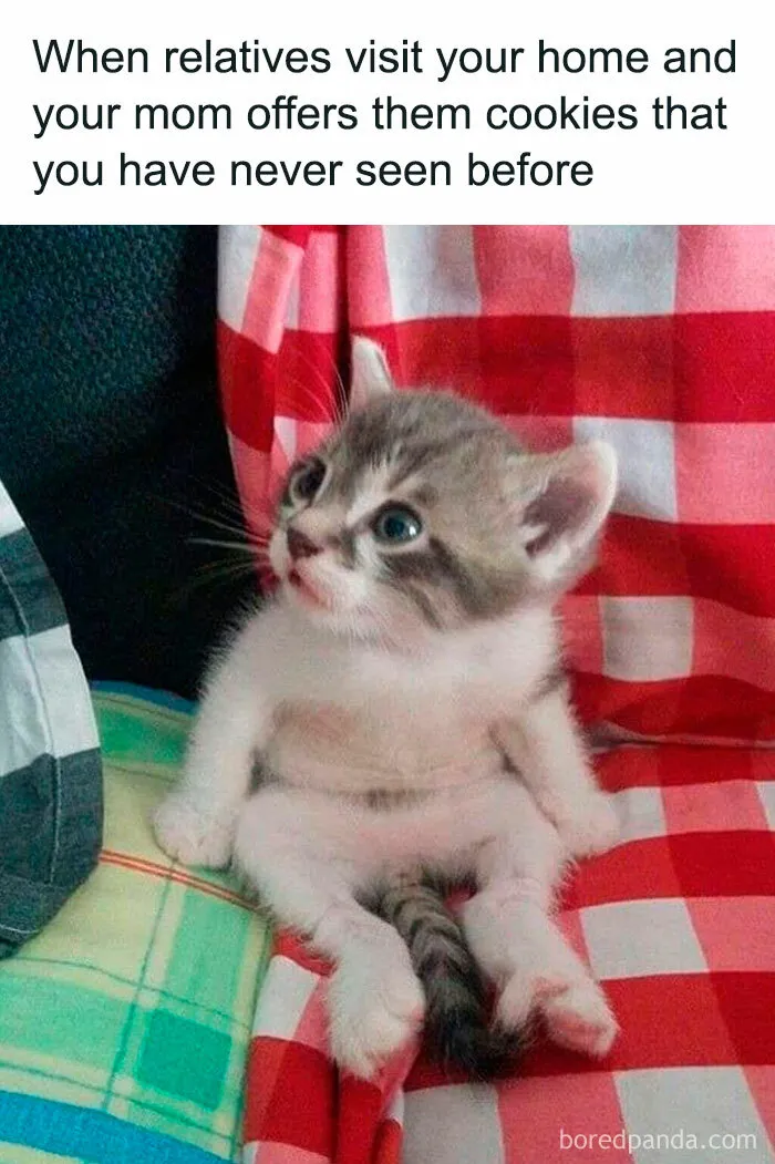 This Facebook Page With Nearly 200K Followers Has The Funniest Meme Collection And Here Are 50 Of Them