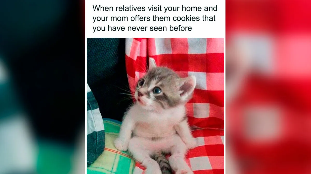 This Facebook Page With Nearly 200K Followers Has The Funniest Meme Collection And Here Are 50 Of Them