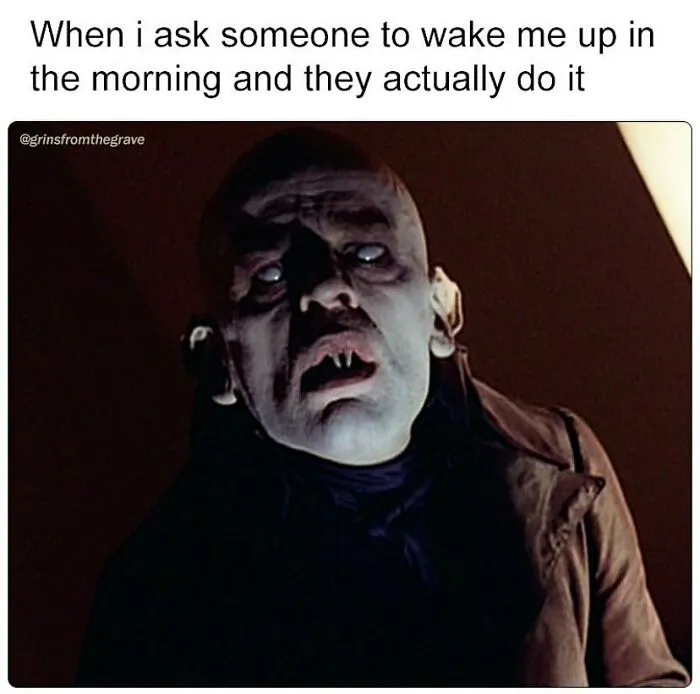 Hilarious horror movie meme showing a scared vampire with pale face and caption about being woken up in the morning.