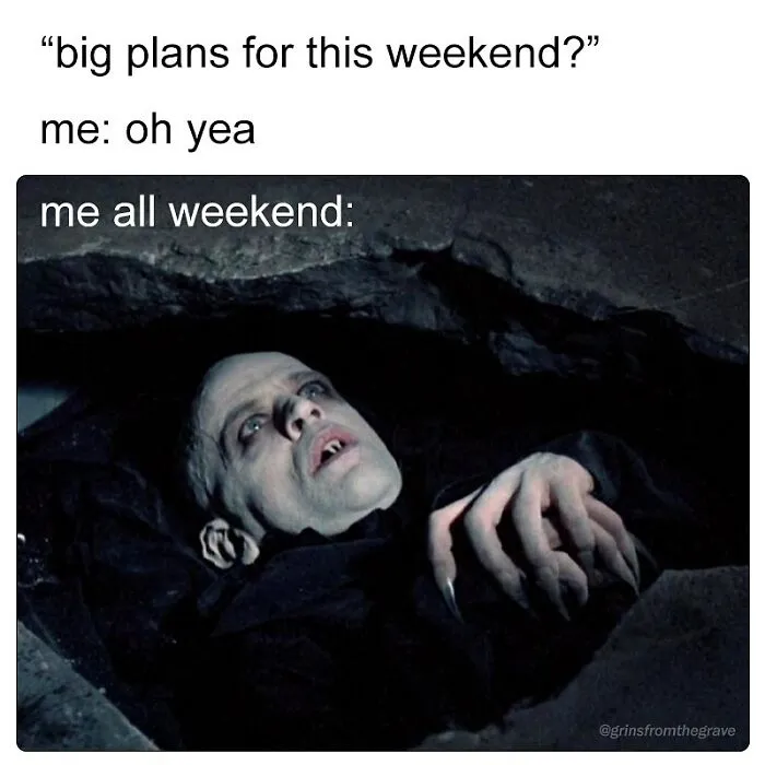 Vampire lying in a coffin meme captioned about big weekend plans, part of hilarious horror movie memes.