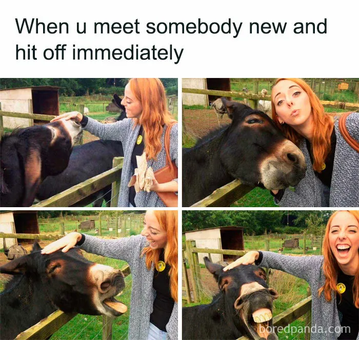 50 Animal Memes That Remind Us Life’s Better With A Little Fur And Chaos (New Pics)