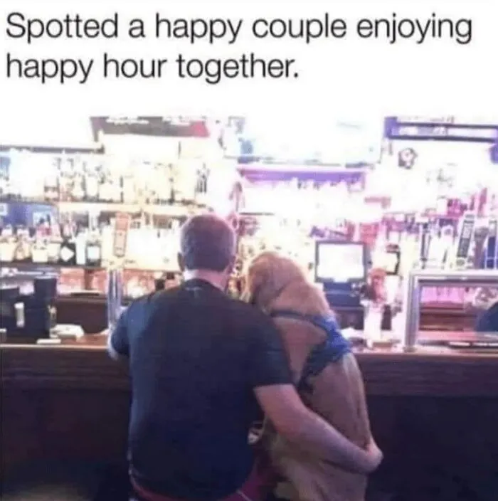 Man and golden retriever sitting together at a bar, sharing a wholesome animal moment to forget worries for a while.