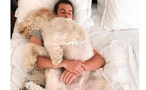 50 Animal Memes That Remind Us Life’s Better With A Little Fur And Chaos (New Pics)
