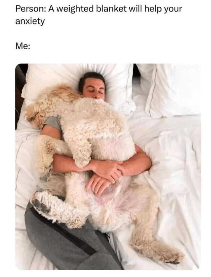 Funny-Memes-Animal-Antics