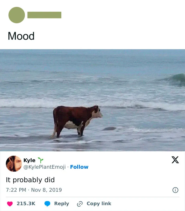 Seacow