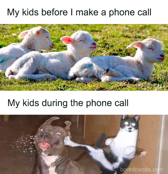50 Hilariously Relatable Memes That Appreciate Parents More Than Their Kids Ever Will