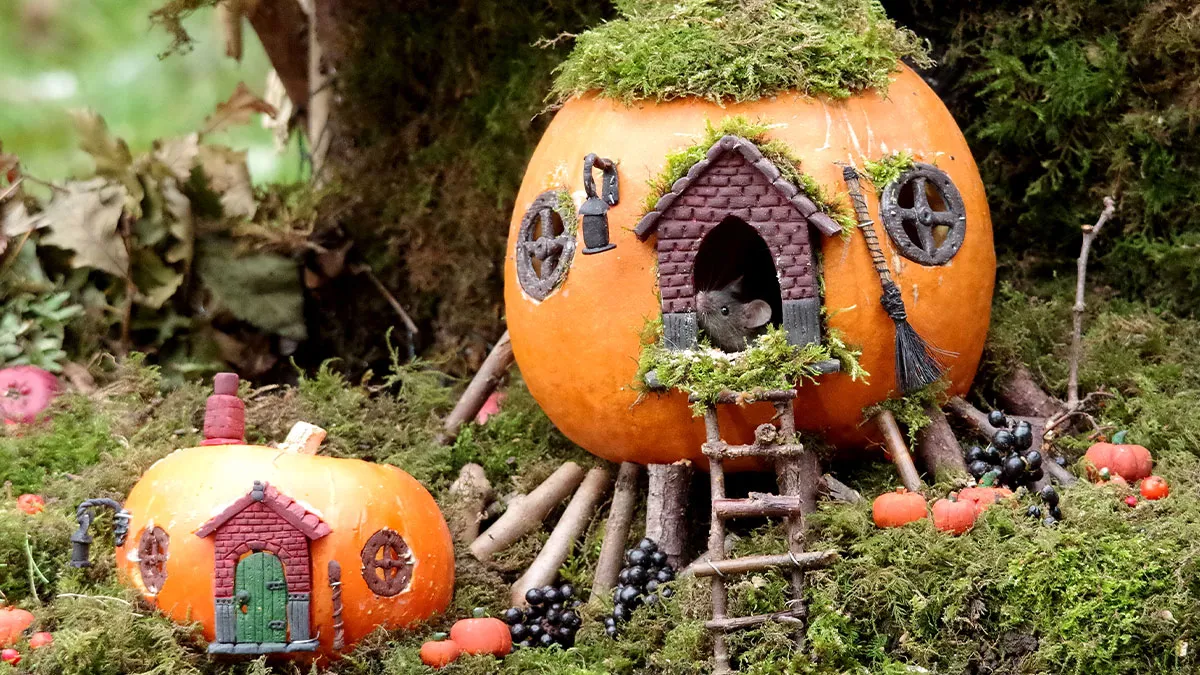I Built A Tiny Halloween Village For Wild Mice In My Garden (29 Pics)