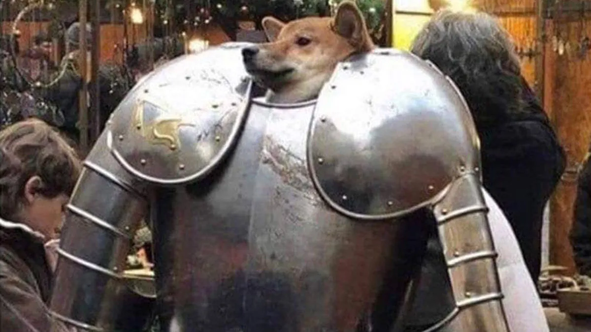 50 Truthful Memes About What It’s Like To Have A Dog