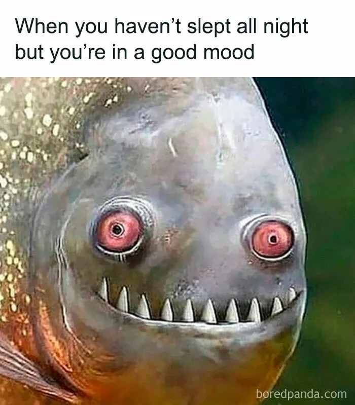 50 Funny Memes From ‘Sarcasm Daily’ That Might Help You Forget Your To-Do List (New Pics)