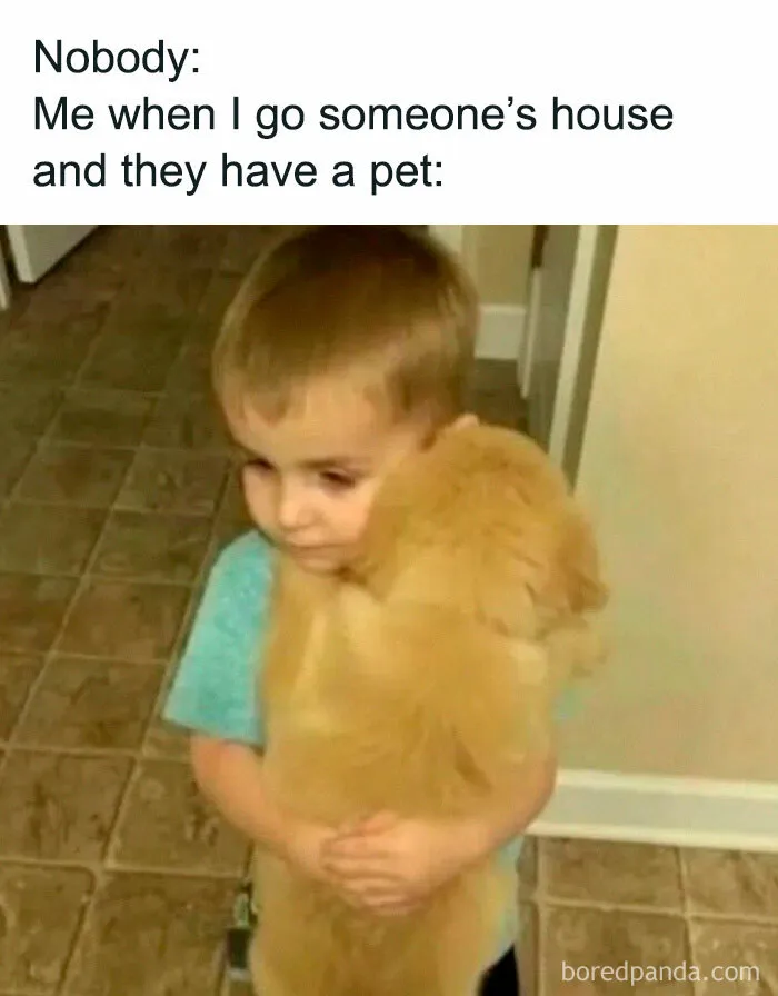50 Funny Memes From ‘Sarcasm Daily’ That Might Help You Forget Your To-Do List (New Pics)