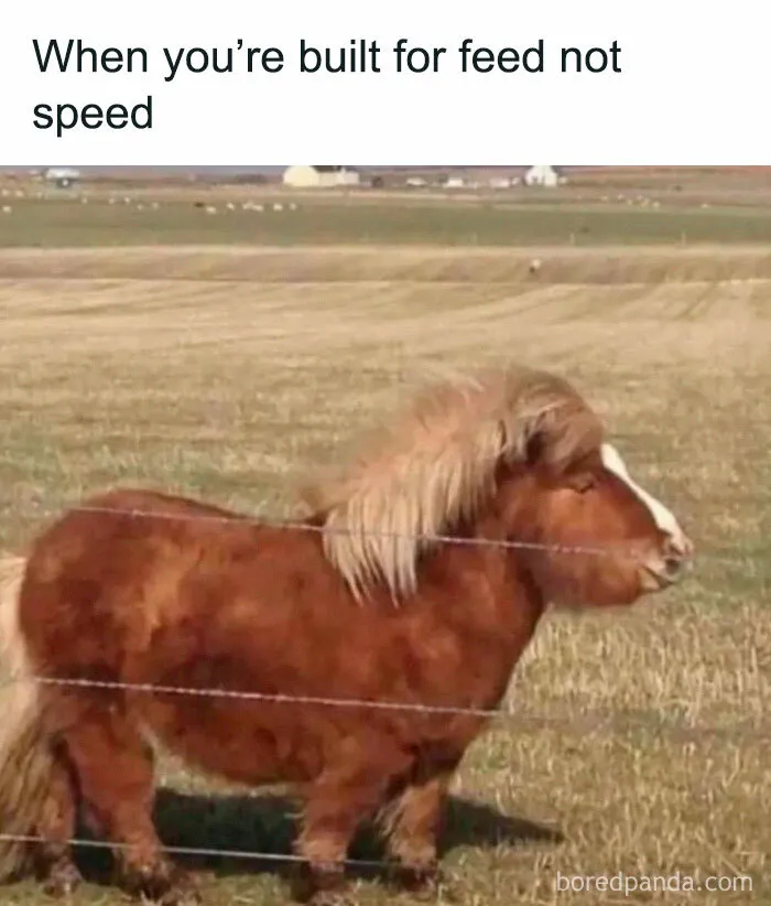 50 Funny Memes From ‘Sarcasm Daily’ That Might Help You Forget Your To-Do List (New Pics)