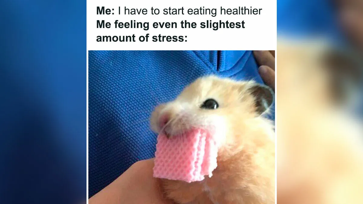 50 Funny Memes From ‘Sarcasm Daily’ That Might Help You Forget Your To-Do List (New Pics)