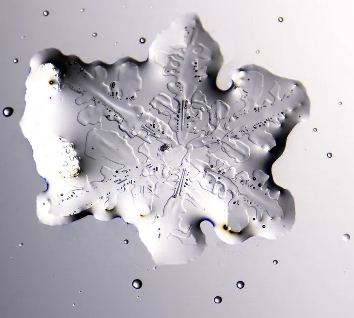 Honorable Mention: Michael Robert Peres, Rochester Institute Of Technology, School Of Photographic Arts And Sciences, Rochester, New York, USA