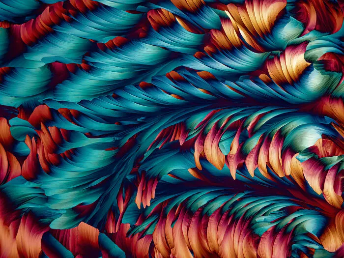Colorful abstract patterns in a mind-blowing microscopic image from the 2025 Nikon Small World photomicrography contest.