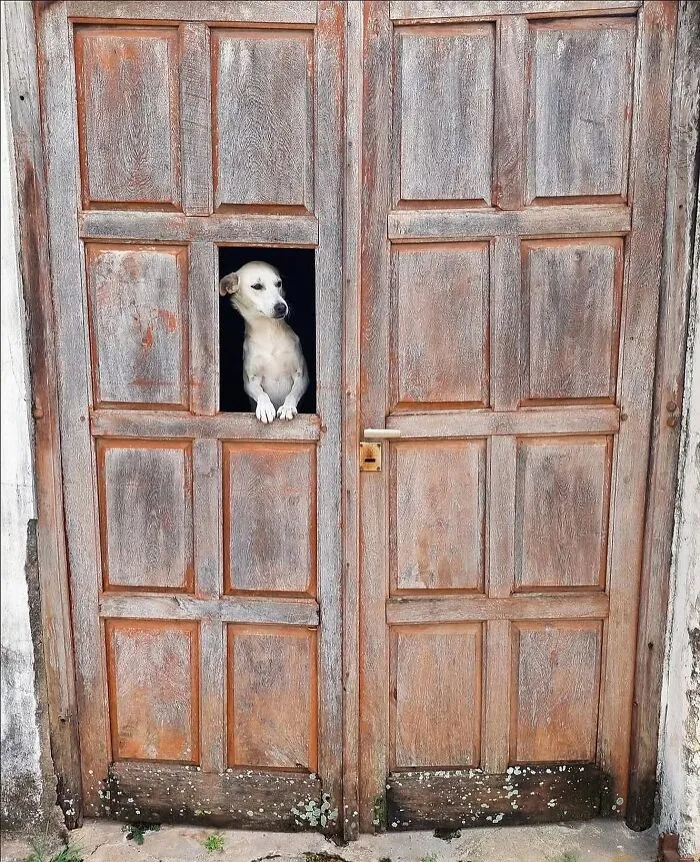 30 Of The Most Interesting Images Picked By “The Decisive Moments Magazine” (New Pics)