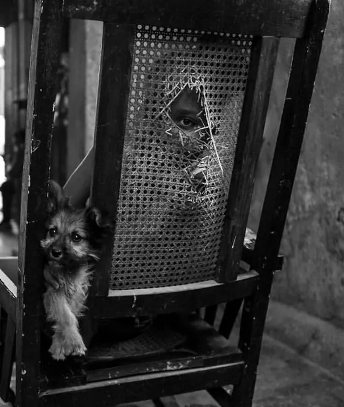 Black and white photo showing a child peeking through a torn chair back with a small dog beside them, fascinating photos.
