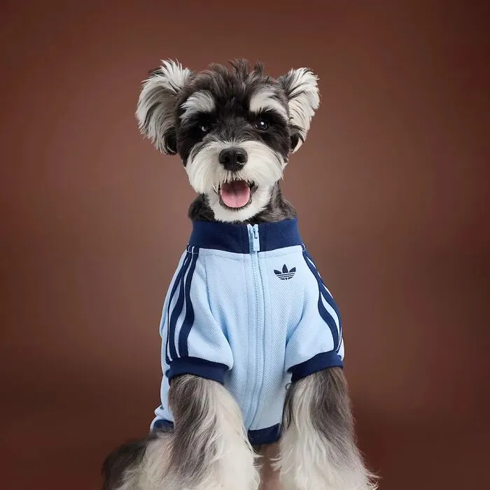 This Brand Created A Fashion Line For Pets, And Here Are 20 Highlights