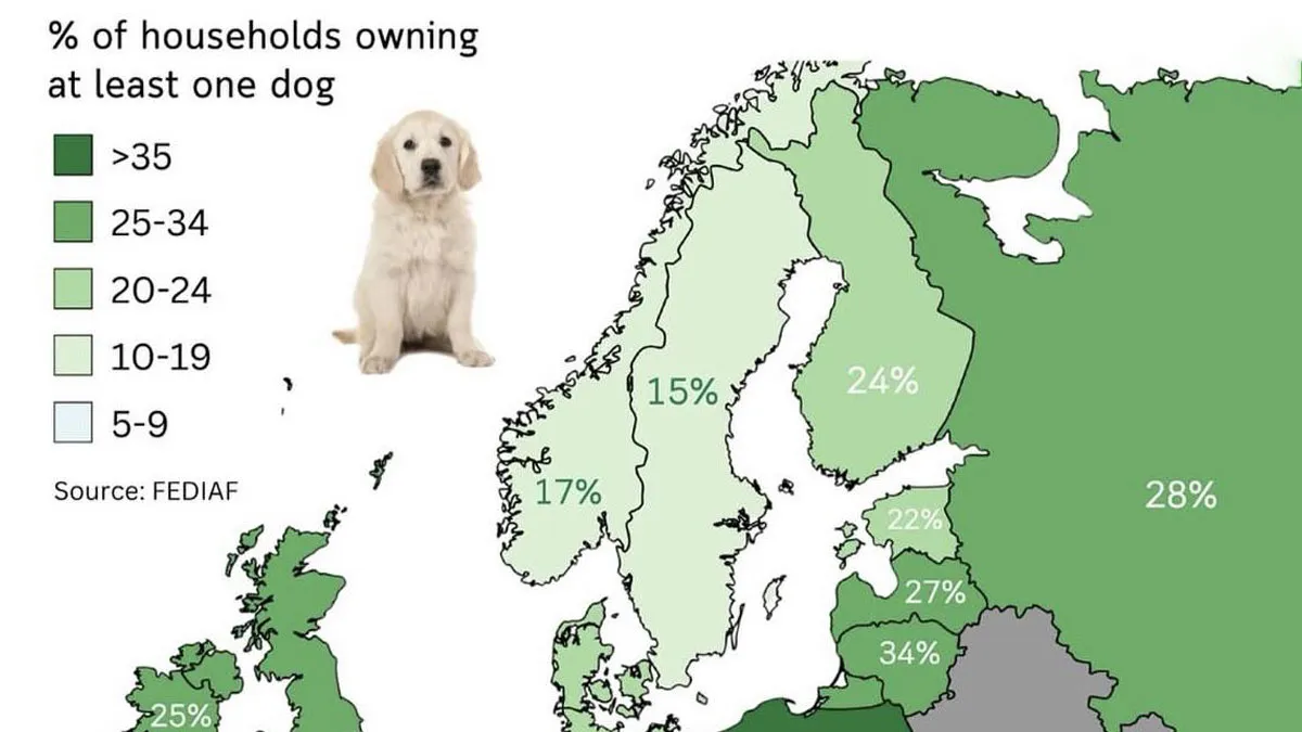 50 Curious Maps That May Not Keep You From Getting Lost, But Can Still Teach You Something