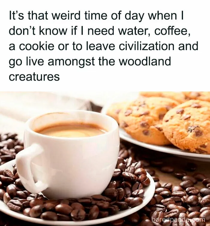 50 Funniest Pics From The "Introverts Are Awesome" Meme Page That Hit Harder Than Alone Time (New Pics)