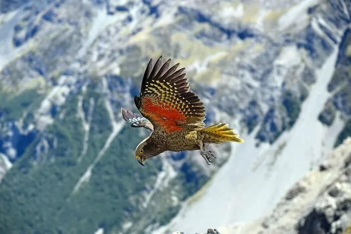New Zealand
