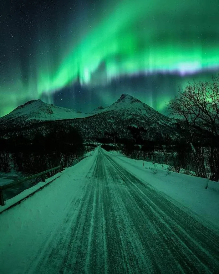Eternal Northern Lights