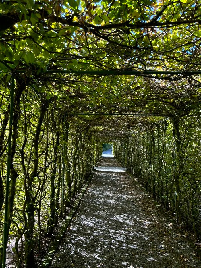 Behind The Castle…