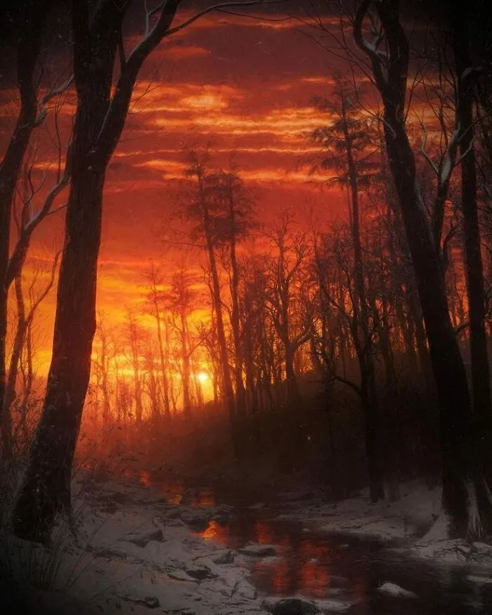 Woods