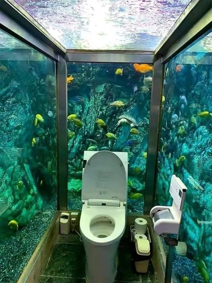 Aquarium Toilet At The Hipopo Papa Cafe, In Akashi, Japan