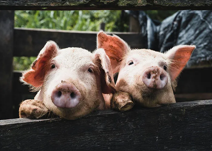 “Nobody Told Me That!” 34 People Share The Basic Facts They Only Just Learned