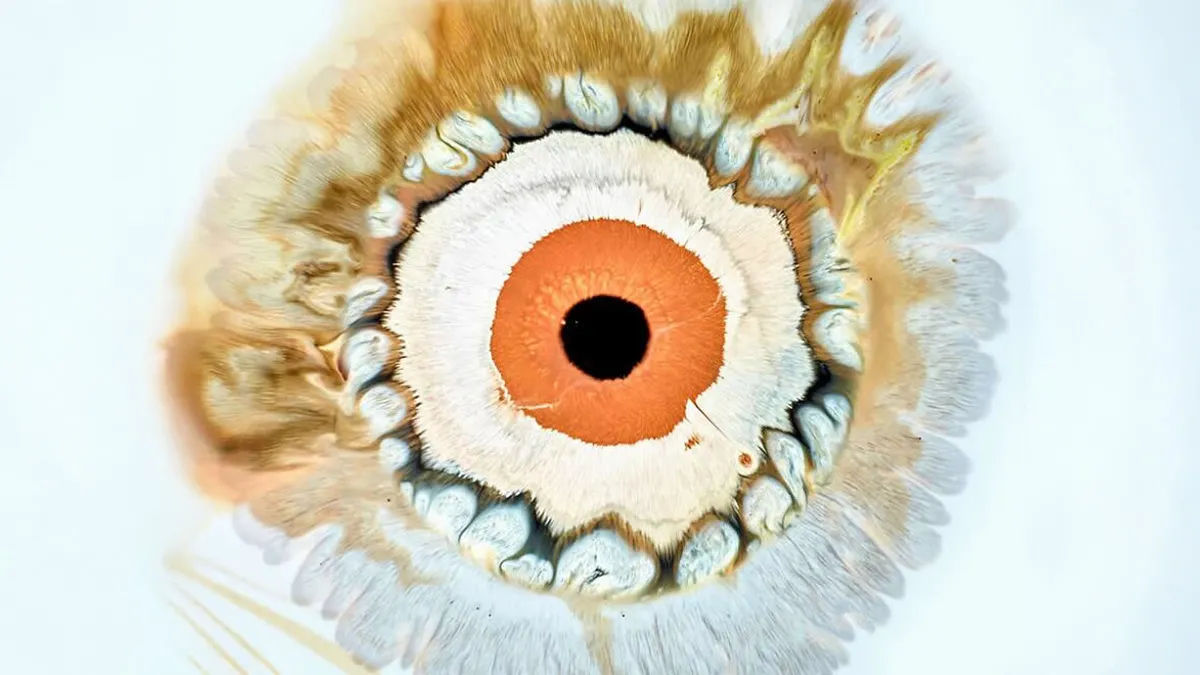 This Photographer Transforms Ink And Water Into Hypnotic Human-Iris Wonders (17 Pics)