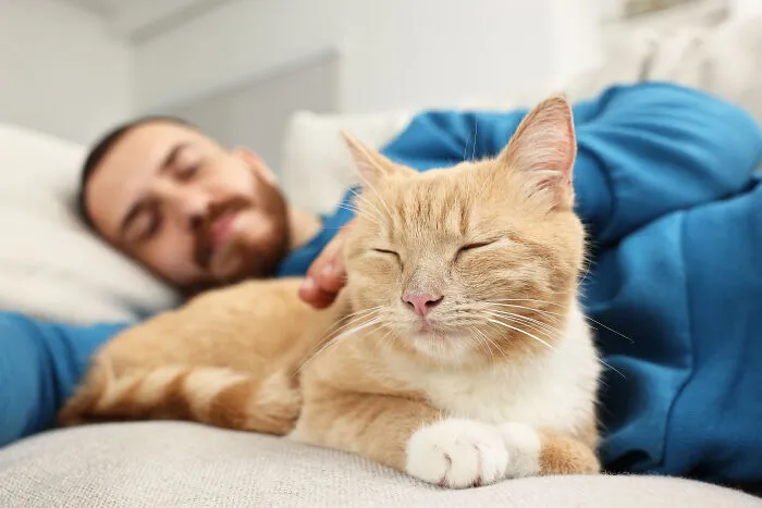 50 Stories About The Most Intelligent Pets People Have Ever Had