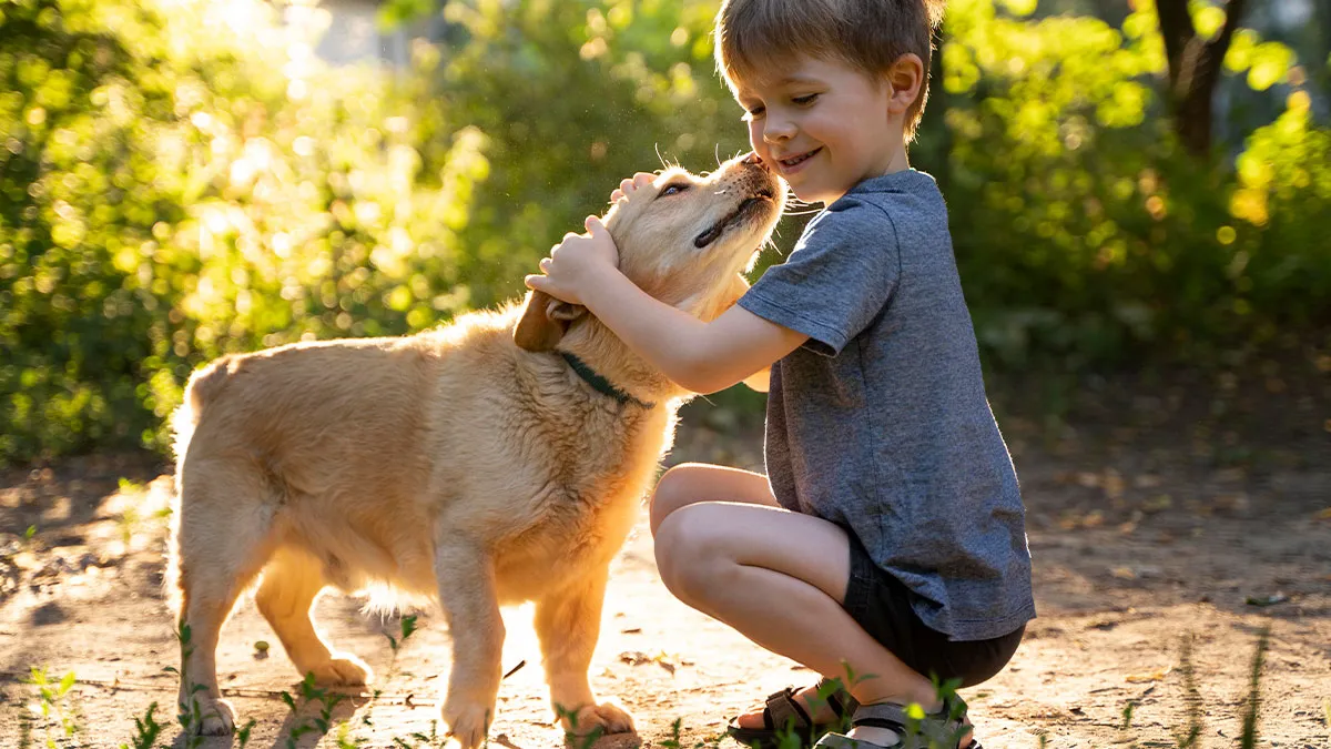 "[Am I The Jerk] For Being Furious My Wife Brought Home A Dog For Our 4YO For Her Safety?"