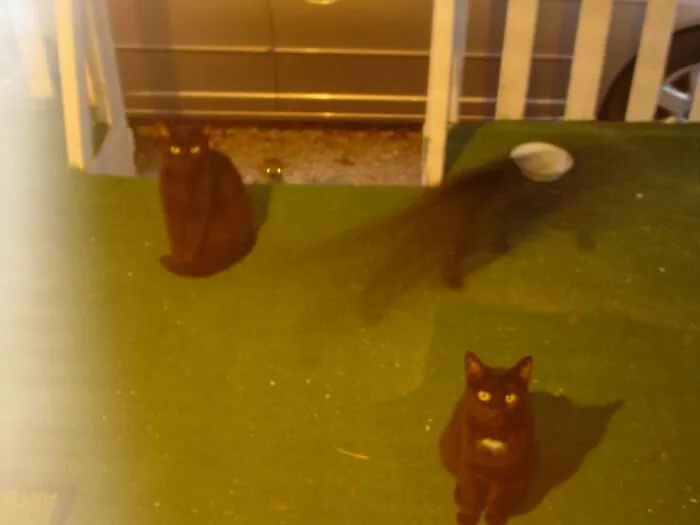 Someone Asked People To Share The Creepiest Photos They’ve Ever Taken, And 46 Deliver