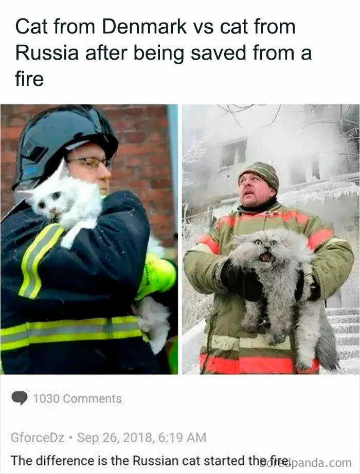 50 Hilarious Photos That Might Make You Love Animals Even More