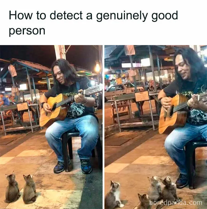 50 Hilarious Photos That Might Make You Love Animals Even More