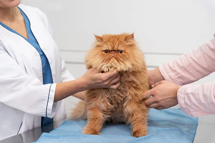 50 Times Doctors Didn’t Know What To Say To A Patient’s Ridiculous Self-Diagnosis