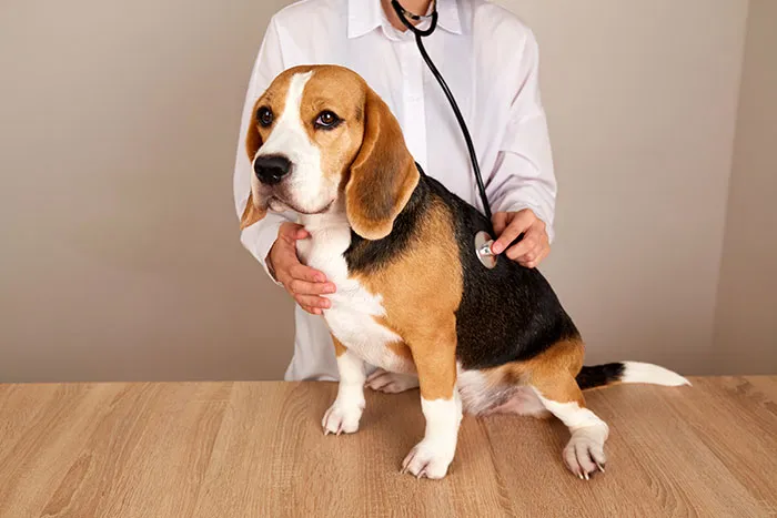 50 Times Doctors Didn’t Know What To Say To A Patient’s Ridiculous Self-Diagnosis