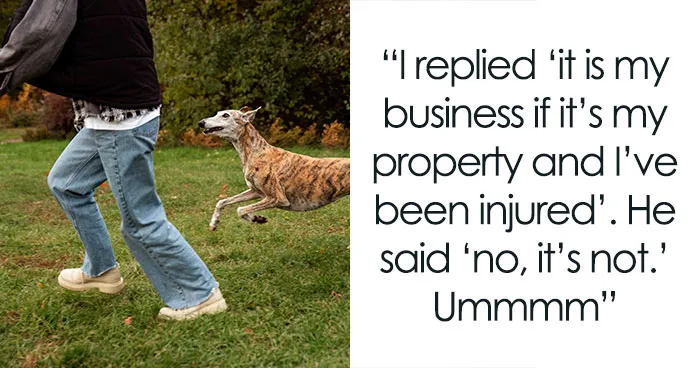 “I Can’t Enjoy My Own Property”: Person Feels Threatened By Neighbor’s Dog, He Doesn’t Care