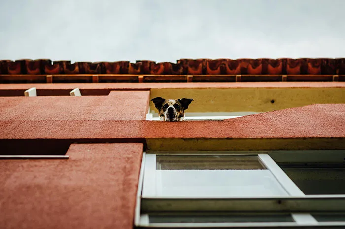 44 Horrifying Moments When People Realized They Might Not Make It Out