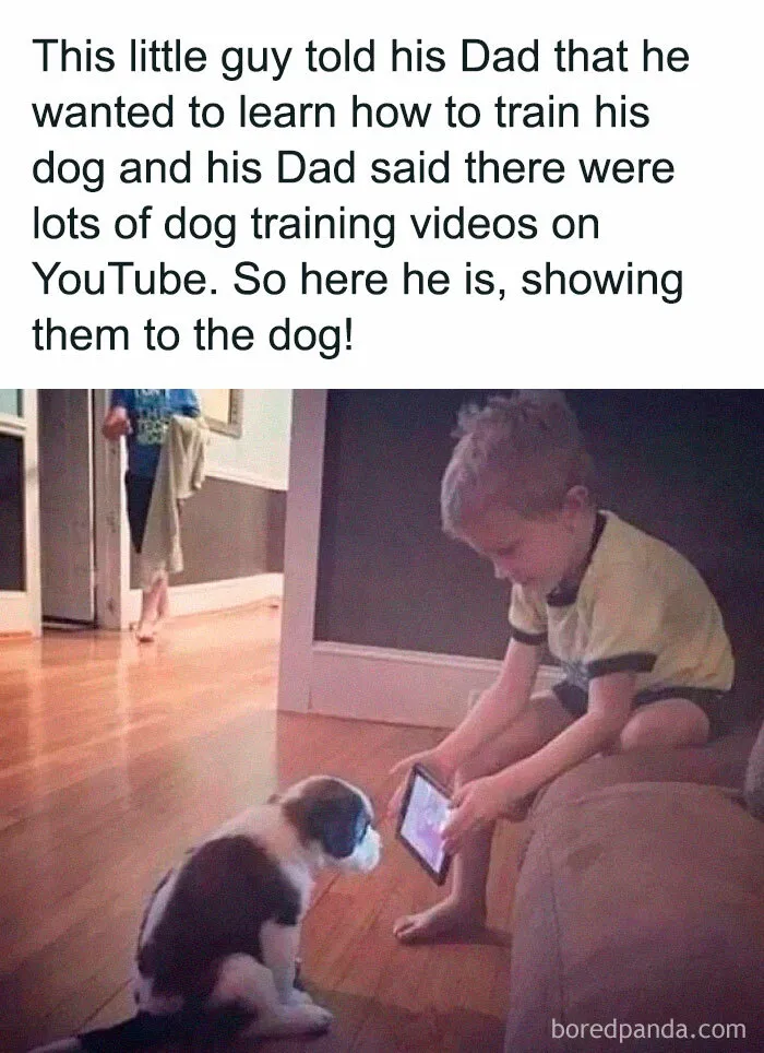 If You Like Animals More Than People, These 50 Memes Might Hit The Spot