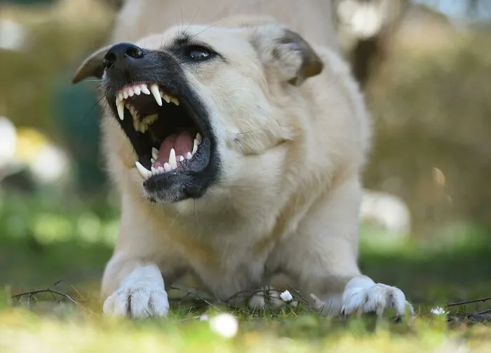 45 Terrifying Moments People Discovered Something Deeply Wrong In Their Own House